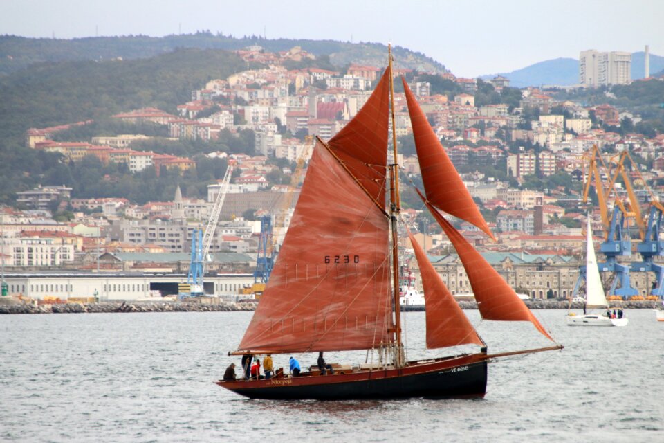 Sailboats sea boats