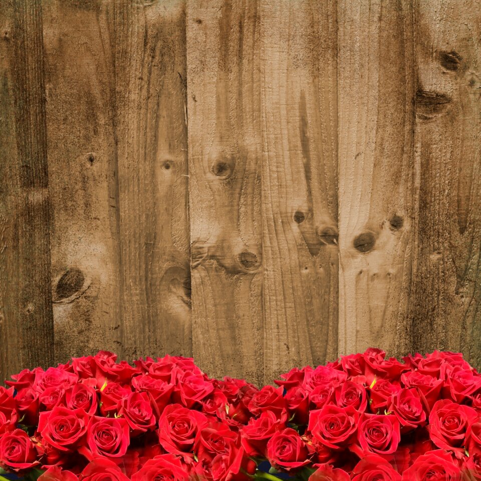 Roses bouquet floral
