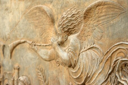 Close up macro angel