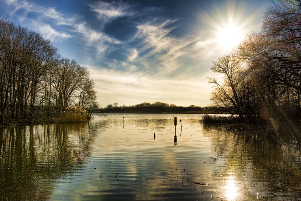 Tree lake heinz wildlife refuge
