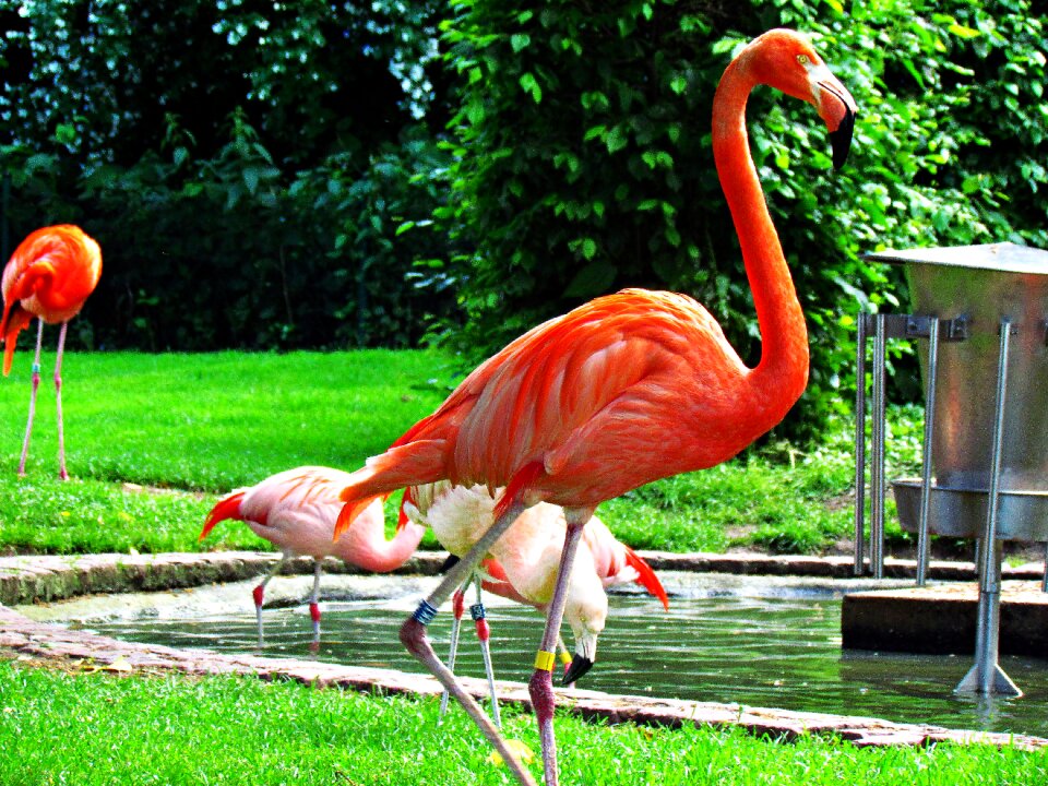 Zoo nature zoological garden