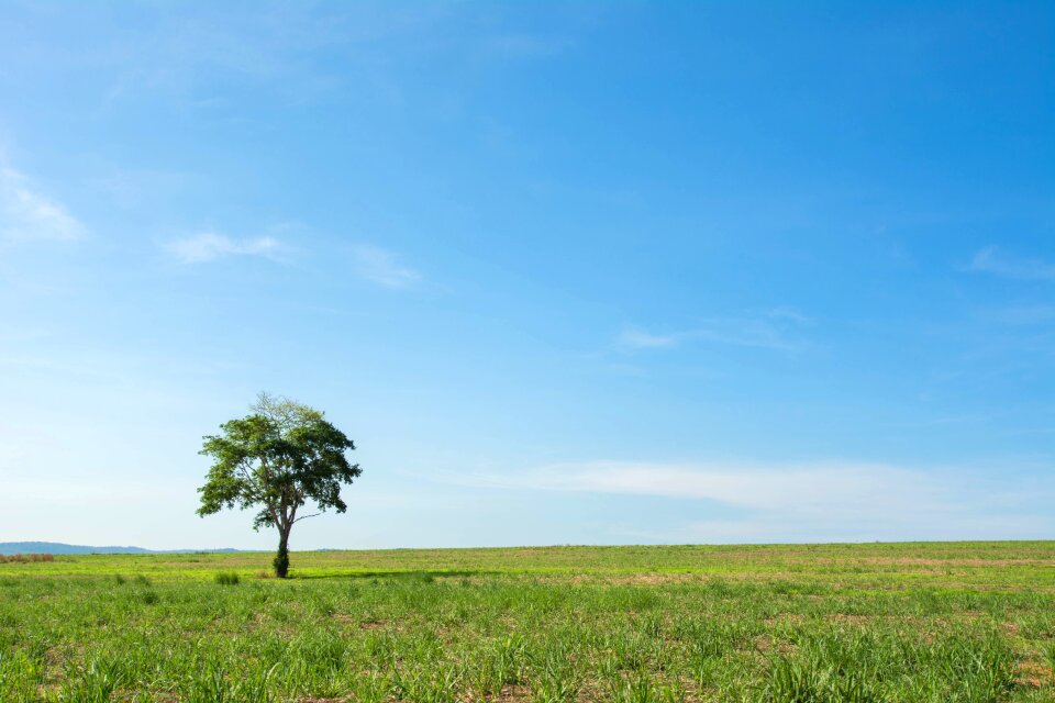 Wide field view background