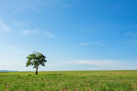 Wide field view background