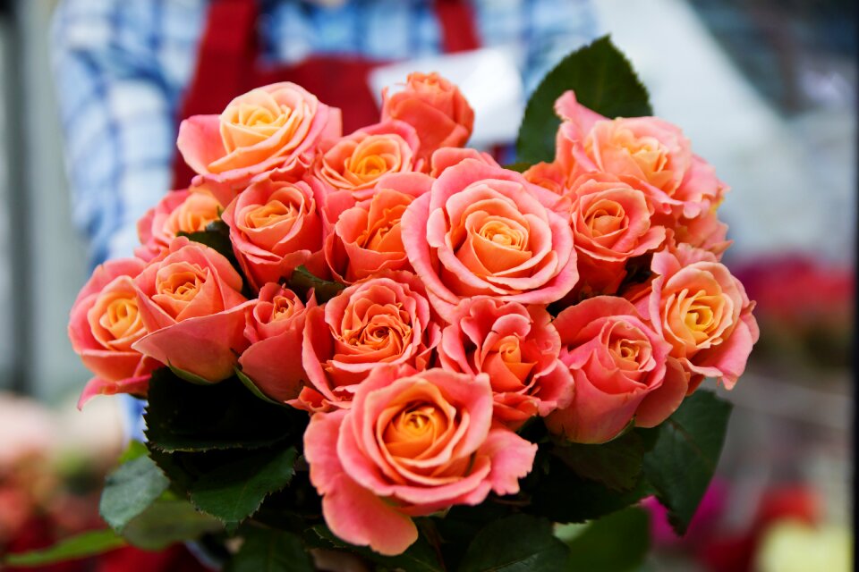 Flowers woman women