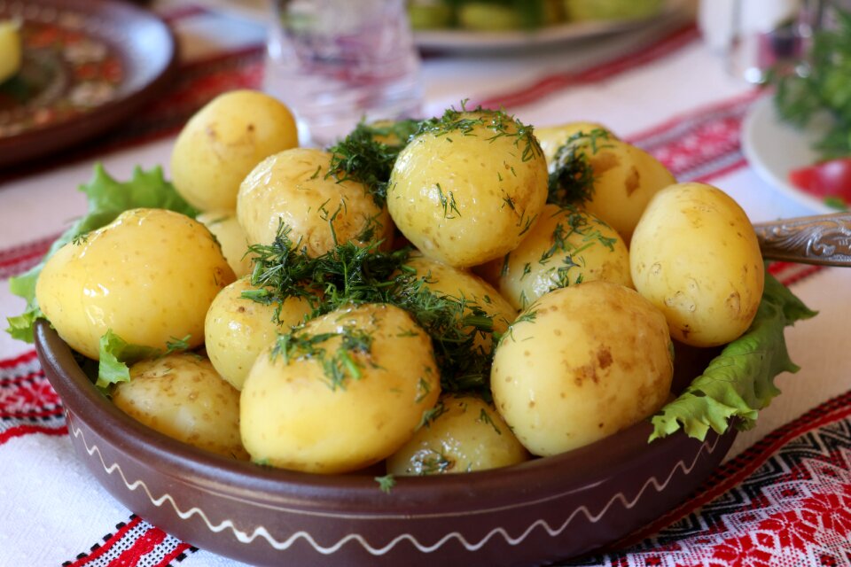 Vegetable food cuisine