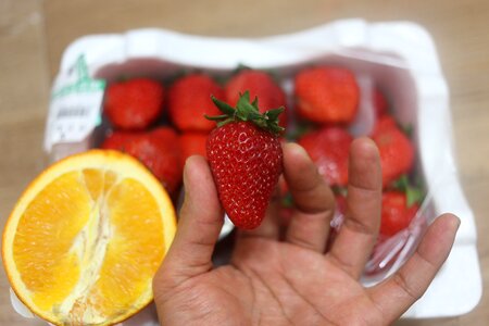 Strawberry freshness red photo