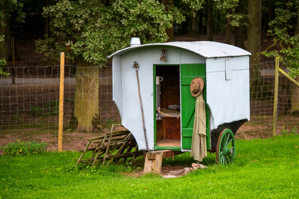 Sheep breeding schäfer wagon flock