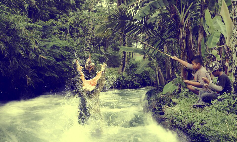 Tree tropical landscape