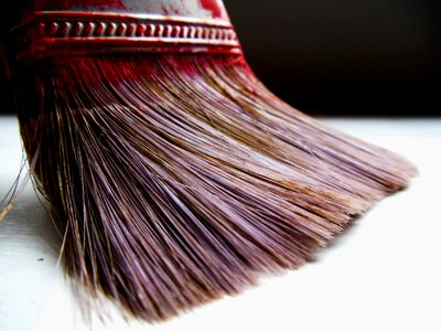 Brush paint bristles photo