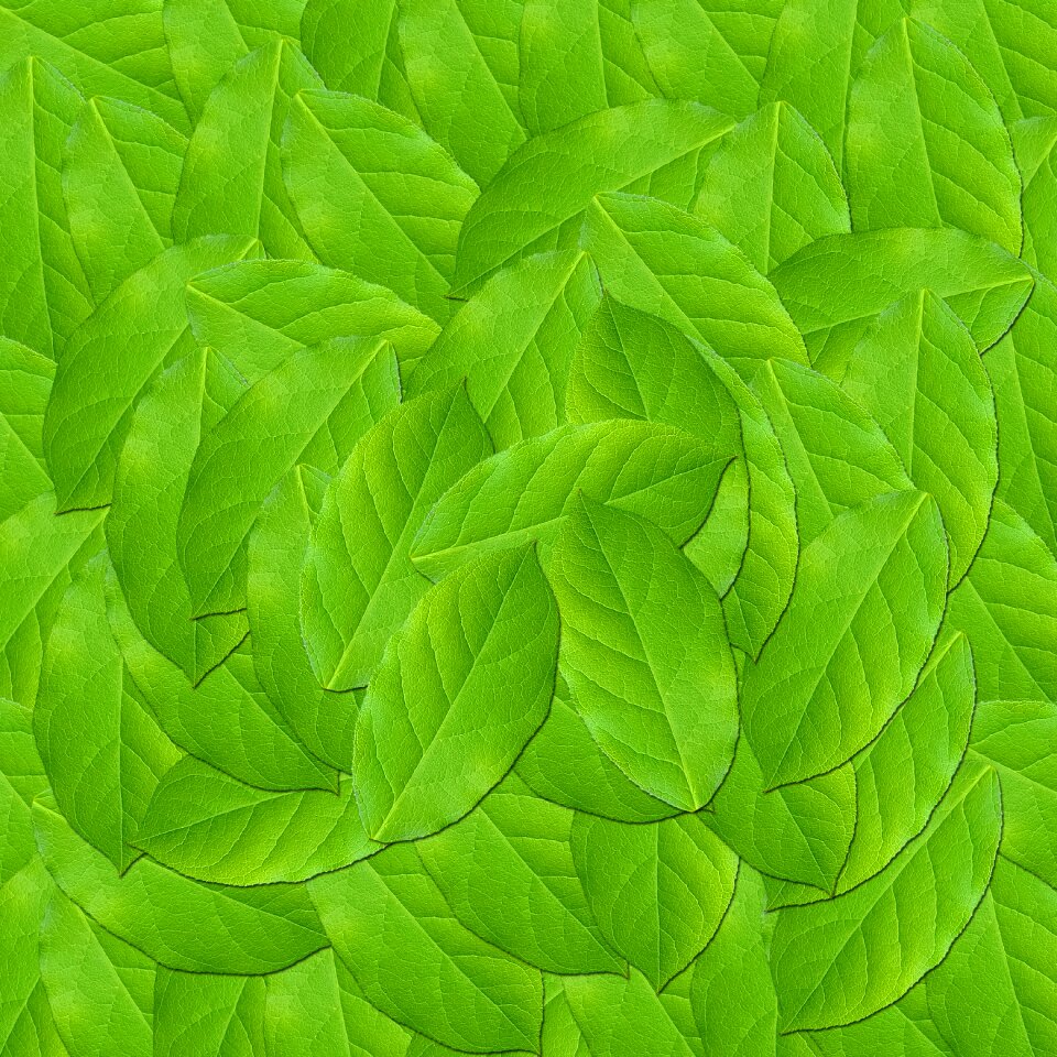 Green leaves texture design