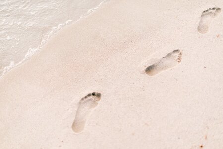 Footprints shore nature photo
