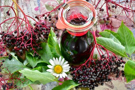 Juice fruits black elderberry