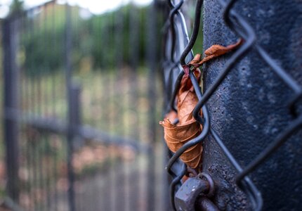 Goal leaves transience