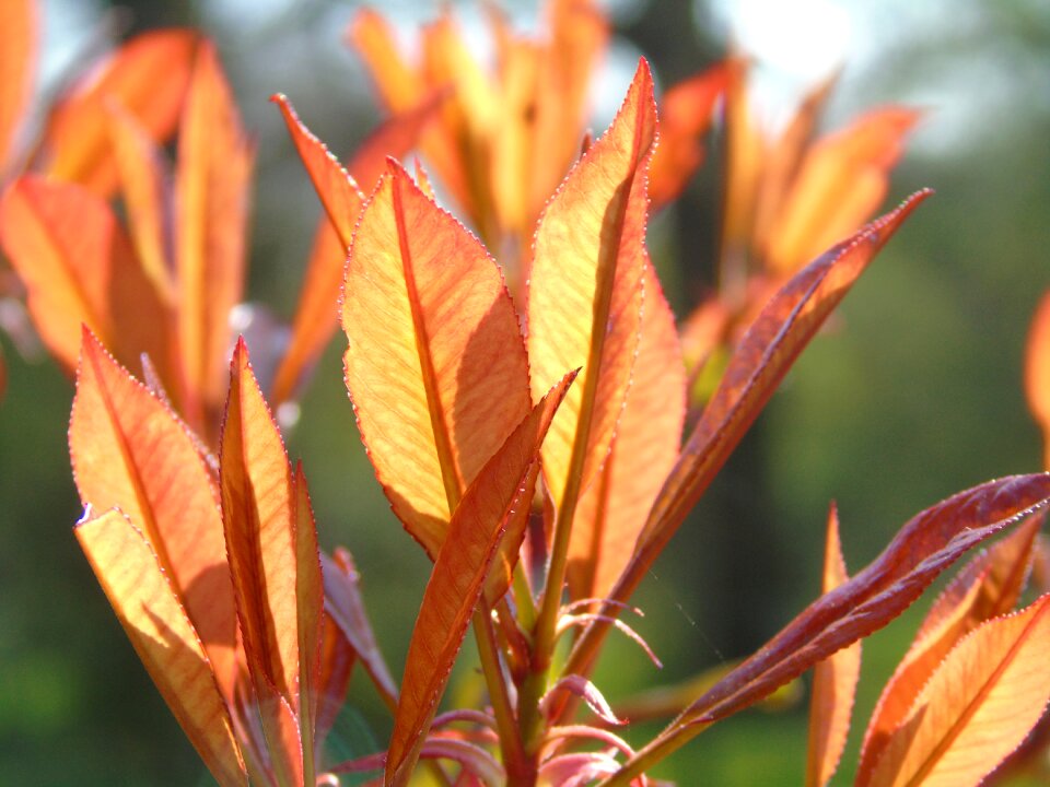 Fall bright season