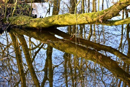 Reflections across banks