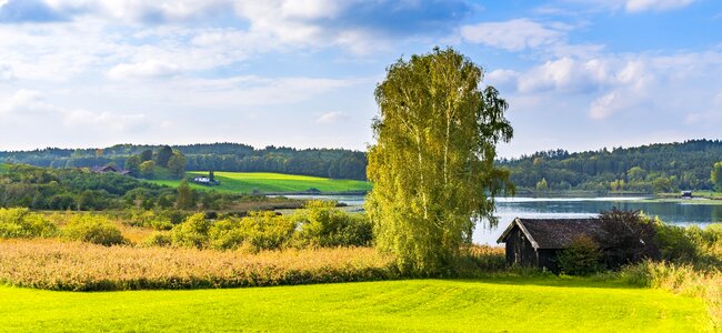 Log cabin agriculture landscape photo