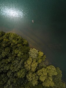 Plants nature aerial photo