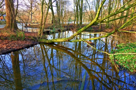 Across reflection island