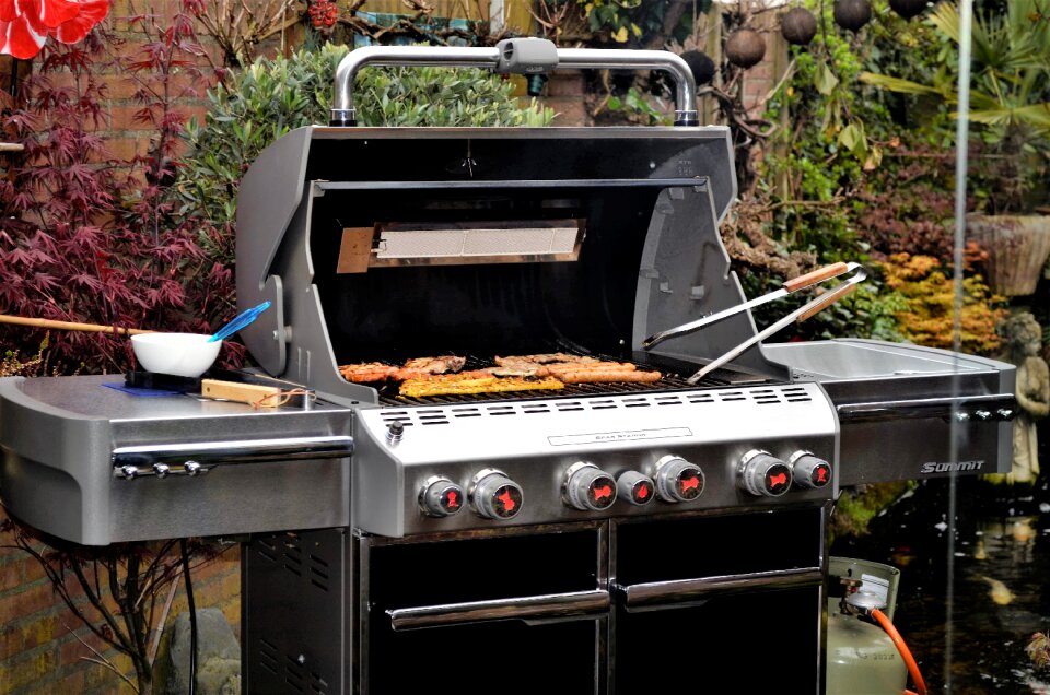 Garden food outdoor