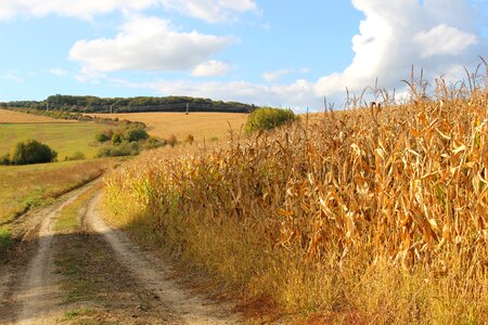 Slovakia country outdoors