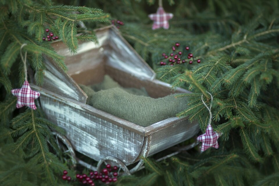 Nature digital rustic