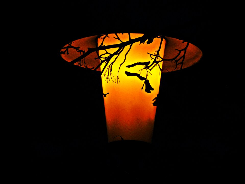 Way street light lights