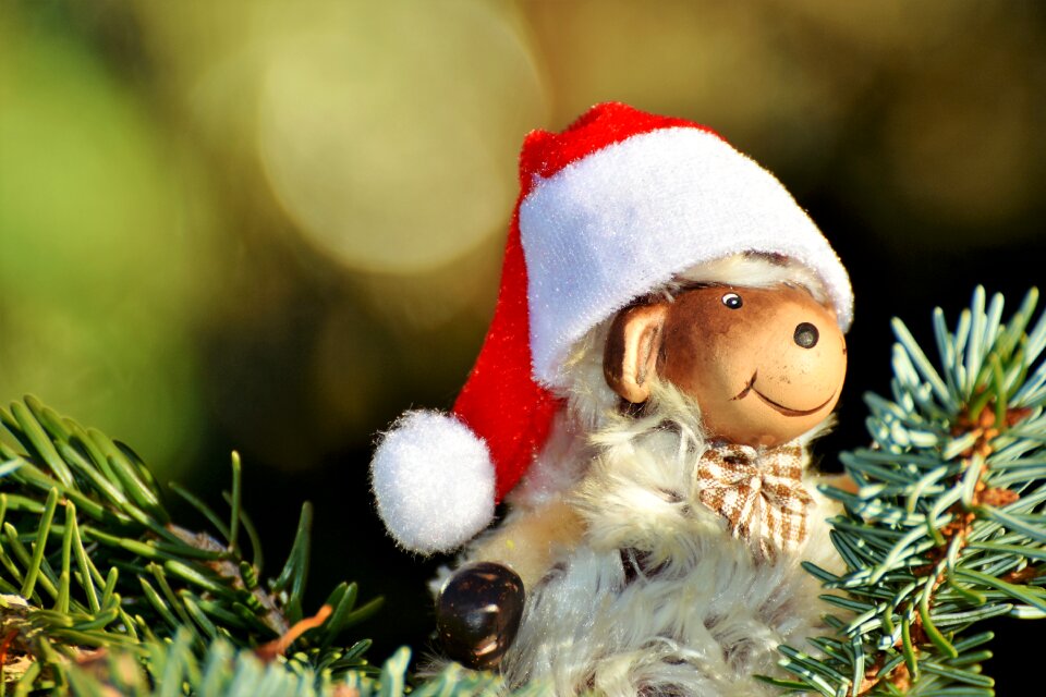 Sheep christmas sheep nicholas
