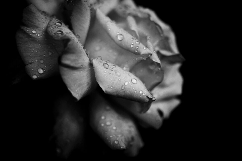 Wet rain water