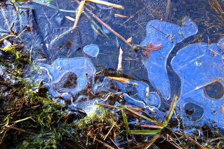 Surface frozen marsh transparent