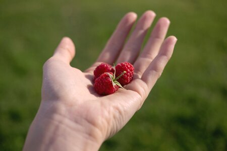 Hand hold still