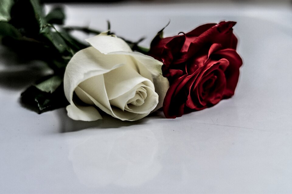 Gift love romantic