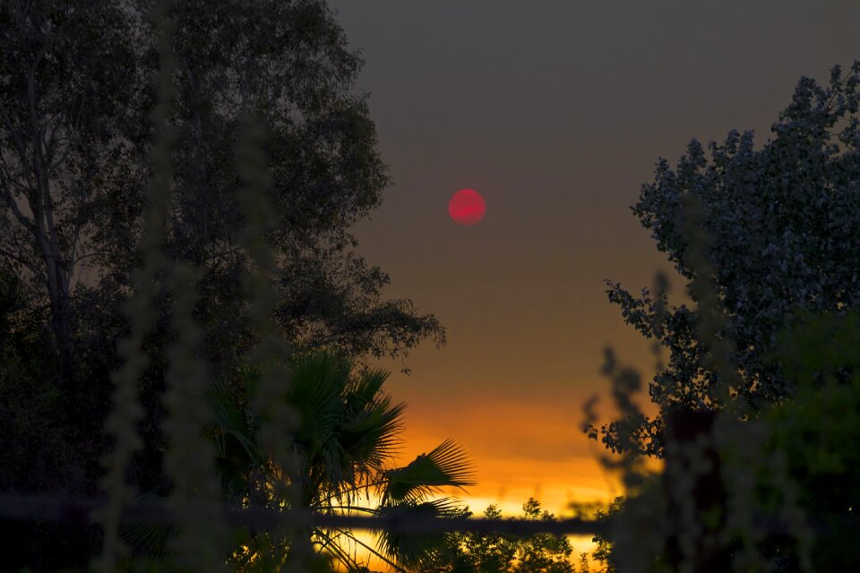 Outdoors dawn red moon