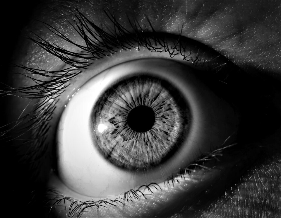Vision eyeball eyelashes