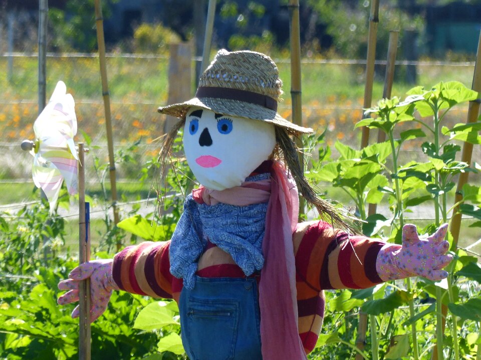 Eatables incredible edible permaculture