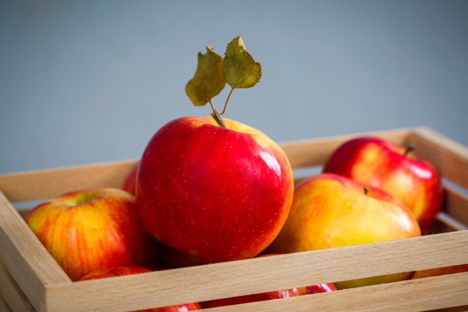 Food healthy health