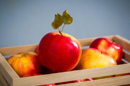 Food healthy health