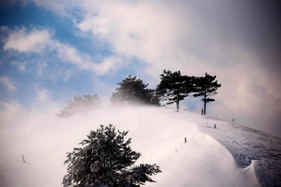 Fog scenery blizzard