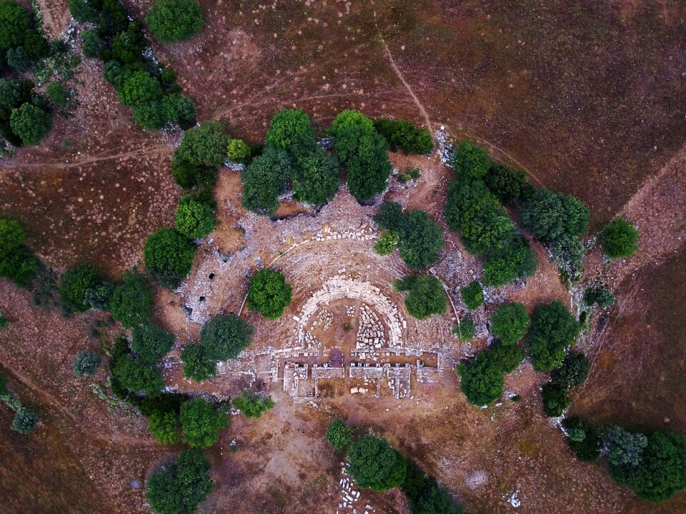 Nature farm field