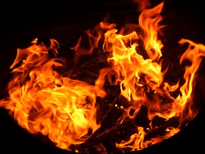 Coal black firewood