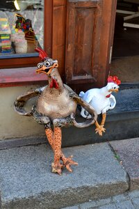 Animals chicken a joke