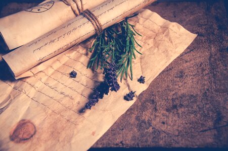Lavender vintage vintage style