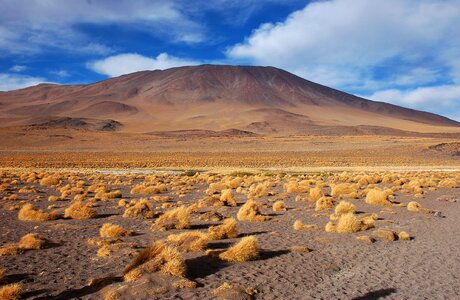 Bolivia laguna desert