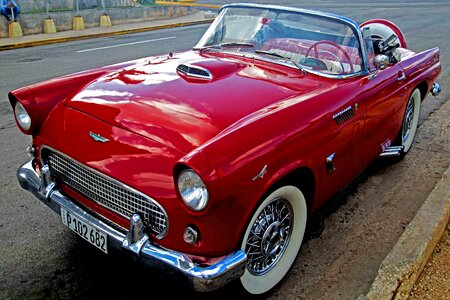 Red almendron thunderbird
