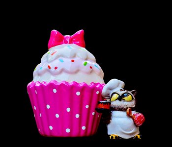 Cupcake owl cake photo