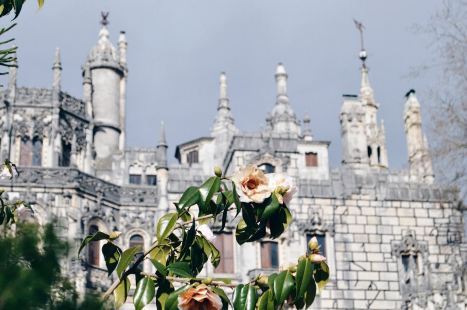 Travel castle landmark
