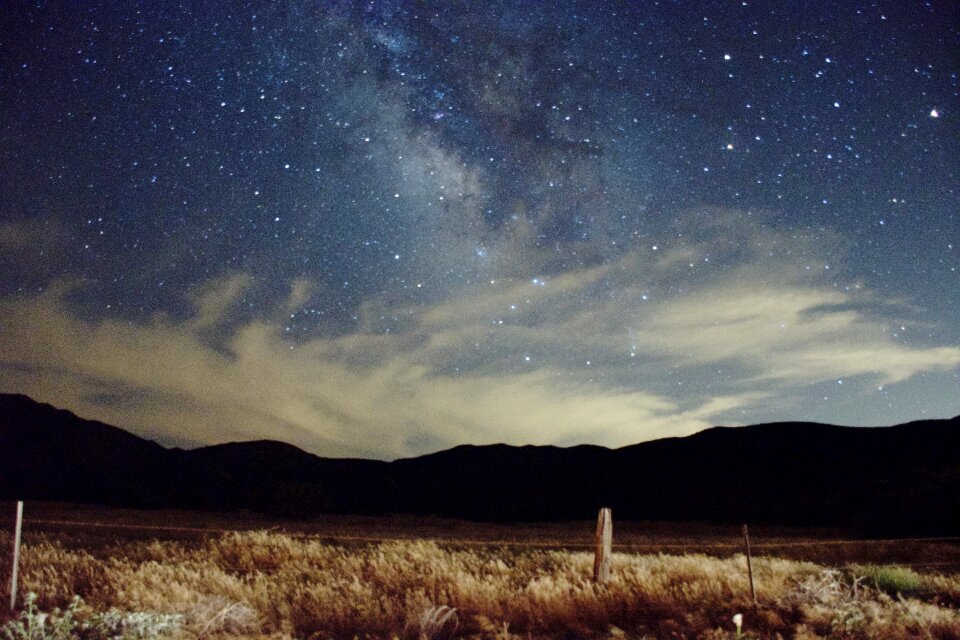 Grass night sky