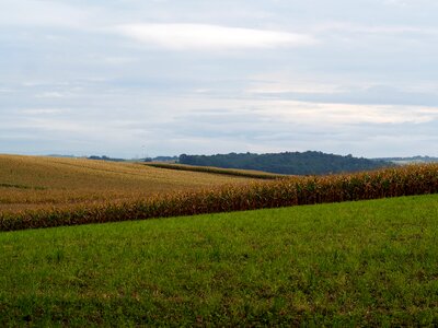 Hilly arable field photo