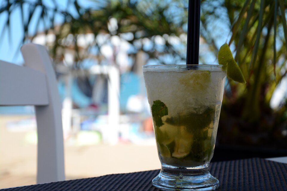 Mojito holiday mohito