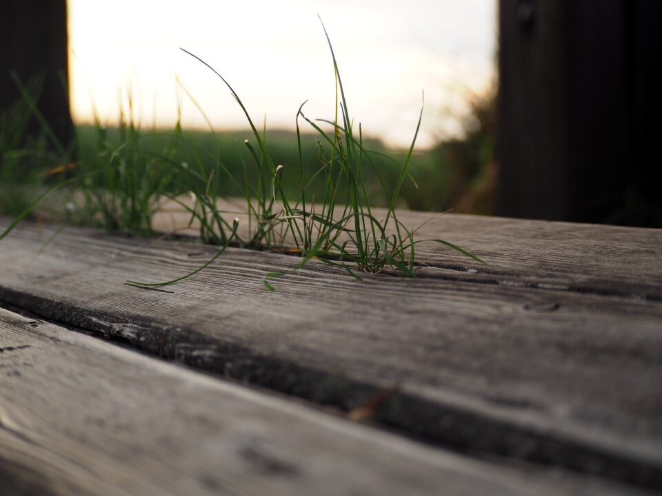Nature rest sit