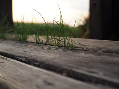 Nature rest sit